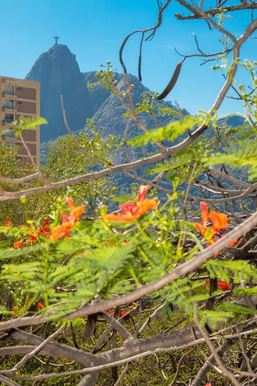 Rio Nature Hostel 里约热内卢 客房 照片