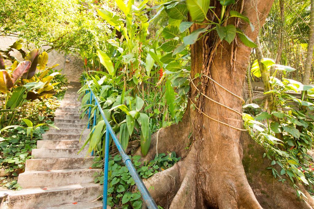 Rio Nature Hostel 里约热内卢 外观 照片